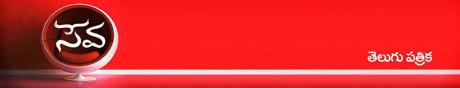 cropped-seva06.jpg